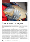 Как коптить карпа