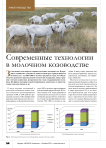 Современные технологии в молочном козоводстве
