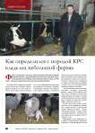 Как определился с породой КРС владелец небольшой фермы