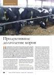 Продуктивное долголетие коров