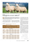 Шерсть или мясо?