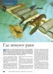 Где зимуют раки