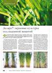 Деларо®: зерновые культуры под надежной защитой
