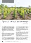 Аренда. «А что, так можно?»