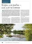Корм для рыбы – еда для человека