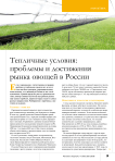 Тепличные условия: проблемы и достижения рынка овощей в России