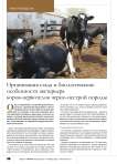 Организация стада и биологические особенности экстерьера коров-первотелок черно-пестрой породы