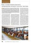 Как в животноводческом помещении воздух сделать чистым