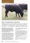 Как содержание бычков абердин-ангусской породы влияет на рост и мясную продуктивность