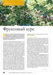 Фруктовый курс