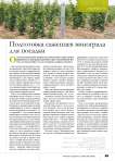 Подготовка саженцев винограда для посадки