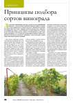 Принципы подбора сортов винограда