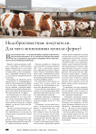 Недобросовестные покупатели. Для чего мошенники купили ферму?