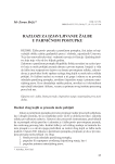 Razlozi za izjavljivanje žalbe u parničnom postupku