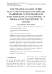 Comparative analysis of the significant positions of financial statements on the example of Raiffeisen Bank in the Republic of Serbia and in the Republic of Croatia