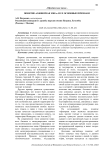 Понятие "офшорная зона" и ее основные признаки