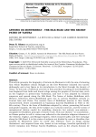 Antonio de Montserrat - The Silk Road and the Secret Paths of Tantra