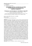 Business intelligence in the function of business improvement