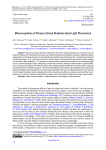 Misconceptions of Primary School Students about Light Phenomena