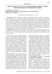 Имидж и бренд государства Российской Федерации в условиях современной международной конкуренции