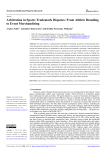 Arbitration in Sports Trademark Disputes: From Athlete Branding to Event Merchandising